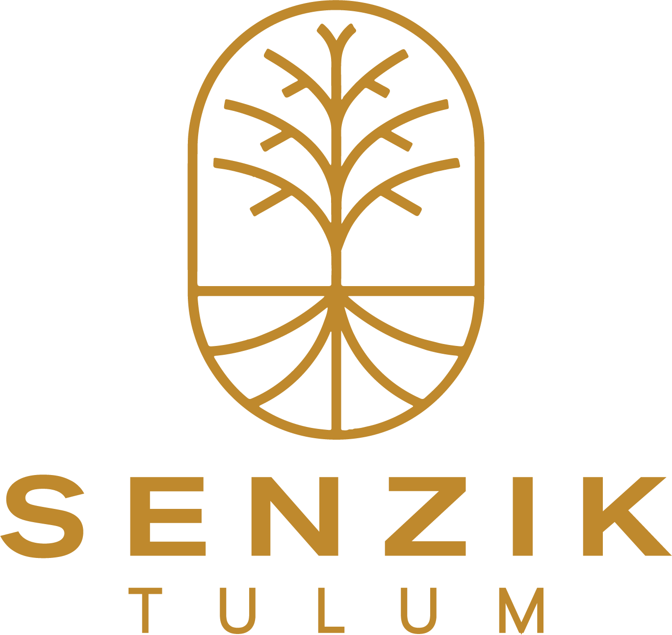 Senzik